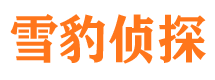 广元市侦探调查公司